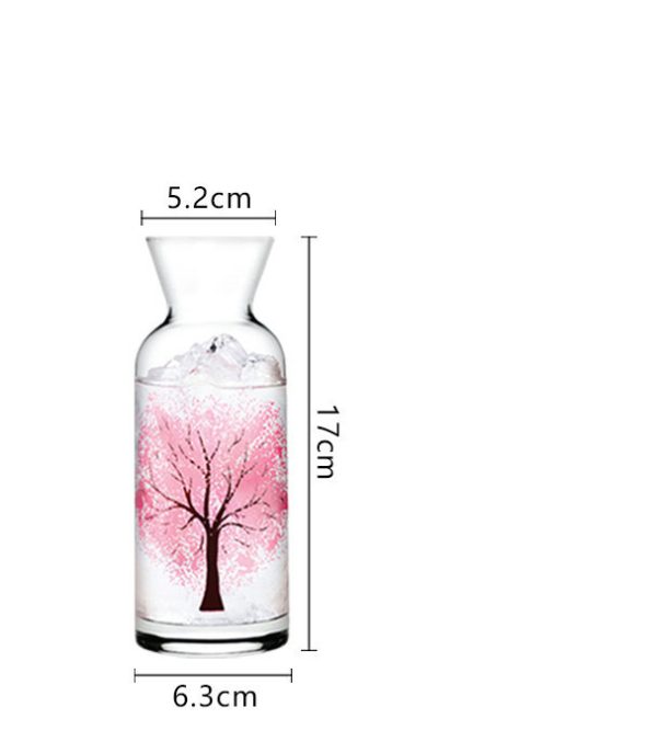 Juice and Water Bottle Set